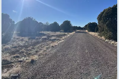 2036 Sitgreaves Ranch Road, Show Low, AZ 85901 - Photo 7