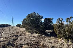 2036 Sitgreaves Ranch Rd, Show Low, AZ 85901 - Photo 1