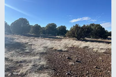 2008 Rosa Lane, Show Low, AZ 85901 - Photo 13