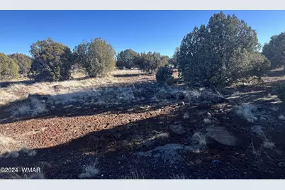 2008 Rosa Lane, Show Low, AZ 85901 - Photo 3