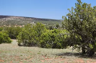 004B Raven, Show Low, AZ 85901 - Photo 1