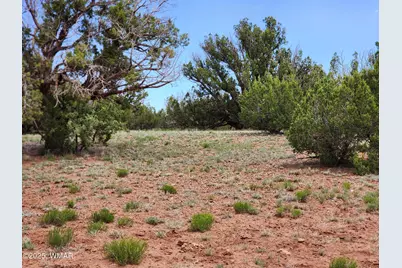 004B Raven, Show Low, AZ 85901 - Photo 5
