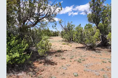 004B Raven, Show Low, AZ 85901 - Photo 3