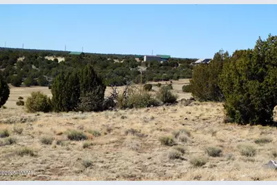 Tbd County Road 8500, Concho Valley, AZ 85924 - Photo 5
