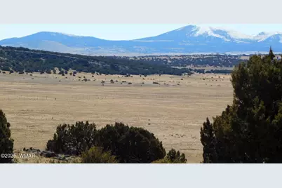 Tbd County Road 8500, Concho Valley, AZ 85924 - Photo 3