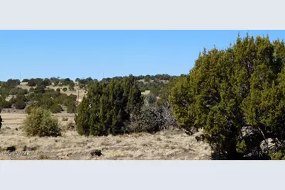 Tbd County Road 8500, Concho Valley, AZ 85924 - Photo 9