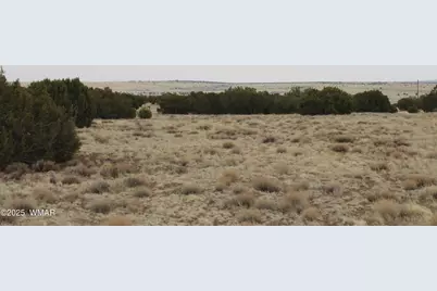 21 &amp; 23 Cr 8004, Concho, AZ 85924 - Photo 9