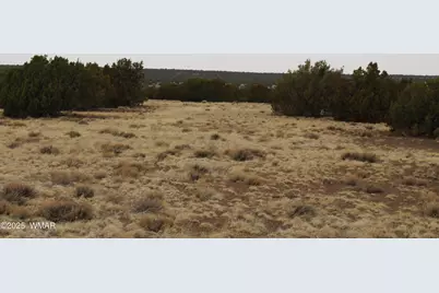 21 &amp; 23 Cr 8004, Concho, AZ 85924 - Photo 11