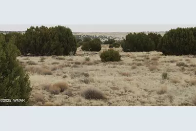 21 &amp; 23 Cr 8004, Concho, AZ 85924 - Photo 19