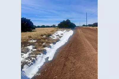41 Antelope Road, Concho, AZ 85924 - Photo 7
