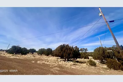 41 Antelope Road, Concho, AZ 85924 - Photo 15