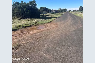37 Frontage Road, Concho, AZ 85924 - Photo 5