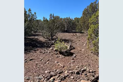 Tbd 107-10-334, Concho, AZ 85924 - Photo 3