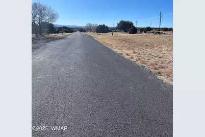 63 Alpine Lane, Concho, AZ 85924 - Photo 5