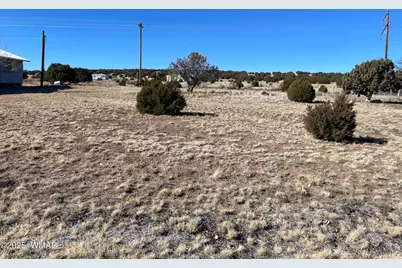 63 Alpine Lane, Concho, AZ 85924 - Photo 1