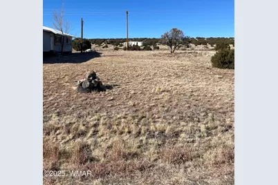 63 Alpine Lane, Concho, AZ 85924 - Photo 3