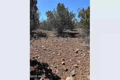 30 County Road, Concho, AZ 85924 - Photo 3