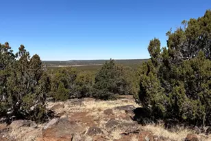 30 County Rd, Concho, AZ 85924 - Photo 1