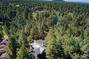 4654 Sweeping Vista Dr, Pinetop, AZ 85935 - Photo 7