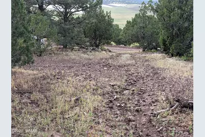 Lot 76 Dolly Drive, Vernon, AZ 85940 - Photo 13