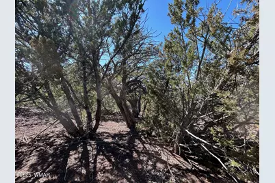 Lot 76 Dolly Drive, Vernon, AZ 85940 - Photo 23
