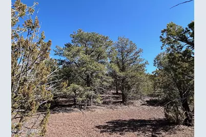Lot 76 Dolly Drive, Vernon, AZ 85940 - Photo 19