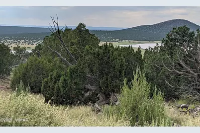 Lot 76 Dolly Drive, Vernon, AZ 85940 - Photo 5