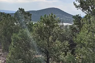 Lot 76 Dolly Dr, Vernon, AZ 85940 - Photo 1