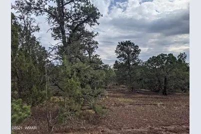 Lot 76 Dolly Drive, Vernon, AZ 85940 - Photo 7