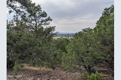 Lot 76 Dolly Drive, Vernon, AZ 85940 - Photo 11