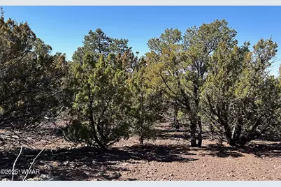 Lot 76 Dolly Drive, Vernon, AZ 85940 - Photo 21