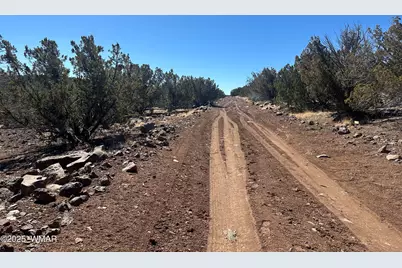 19 County Road 8230, Concho, AZ 85924 - Photo 3
