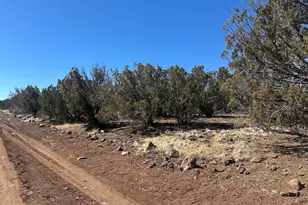 19 County Road 8230, Concho, AZ 85924 - Photo 1