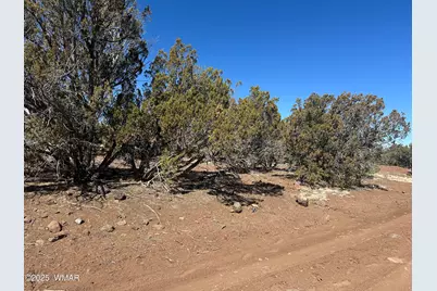 19 County Road 8230, Concho, AZ 85924 - Photo 5