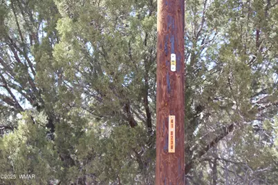 Lot 092C County Road 8238, Concho, AZ 85924 - Photo 15