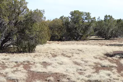 Lot 092C County Road 8238, Concho, AZ 85924 - Photo 9