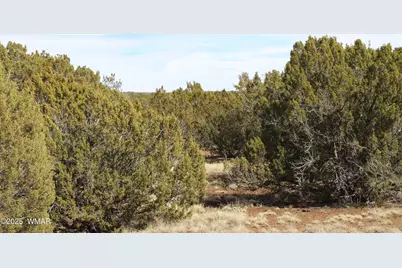 Lot 092C County Road 8238, Concho, AZ 85924 - Photo 7