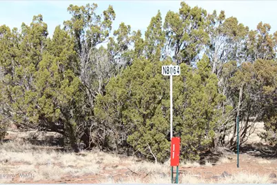 Lot 092C County Road 8238, Concho, AZ 85924 - Photo 19
