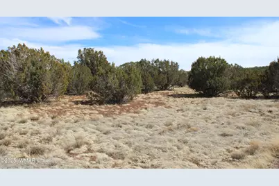 Lot 092C County Road 8238, Concho, AZ 85924 - Photo 5