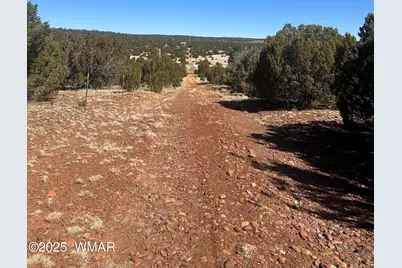 32 County Road 3048, Concho, AZ 85924 - Photo 3