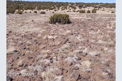 Tbd Show Low Pines, Unit 5 #5, Concho, AZ 85924 - Photo 1