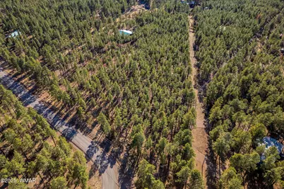 Tbd Wilderness Drive, Lakeside, AZ 85929 - Photo 13