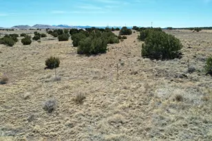 58 Antelope Ave, Concho, AZ 85924 - Photo 53