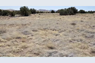 58 Antelope Avenue, Concho, AZ 85924 - Photo 51