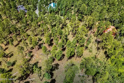 16 N1062, Greer, AZ 85927 - Photo 15