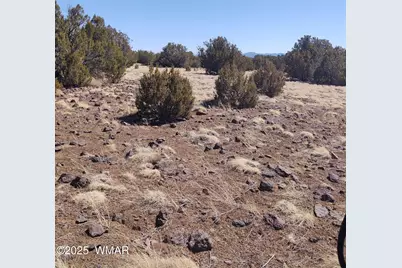 182 Show Low Pines, Unit 5 #5, Concho, AZ 85924 - Photo 1