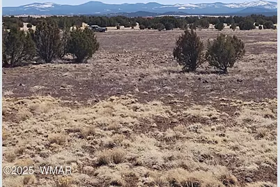 182 Show Low Pines, Unit 5 #5, Concho, AZ 85924 - Photo 3