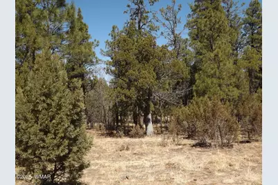 0004Y Parcel 1 Section 31, Overgaard, AZ 85933 - Photo 1