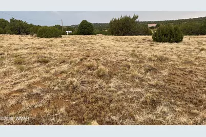 67 Hickory Lane, Concho, AZ 85924 - Photo 3