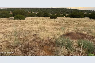 67 Hickory Lane, Concho, AZ 85924 - Photo 1